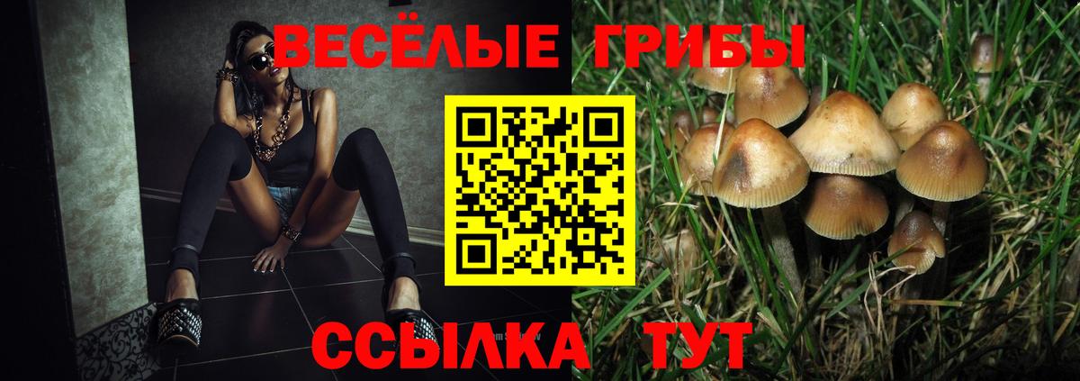 Псилоцибиновые грибы Psilocybine cubensis Лангепас